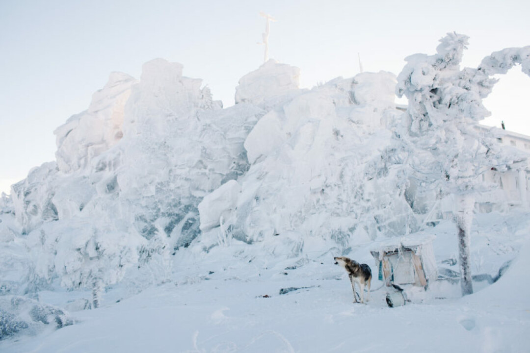 Анна Марченкова. Проект «Место практики и реализации», 2015–2018 года