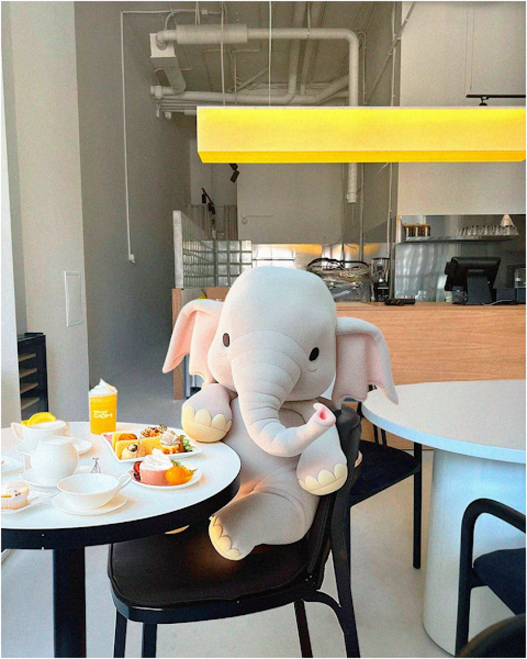 Дегустация в «Белом слоне»