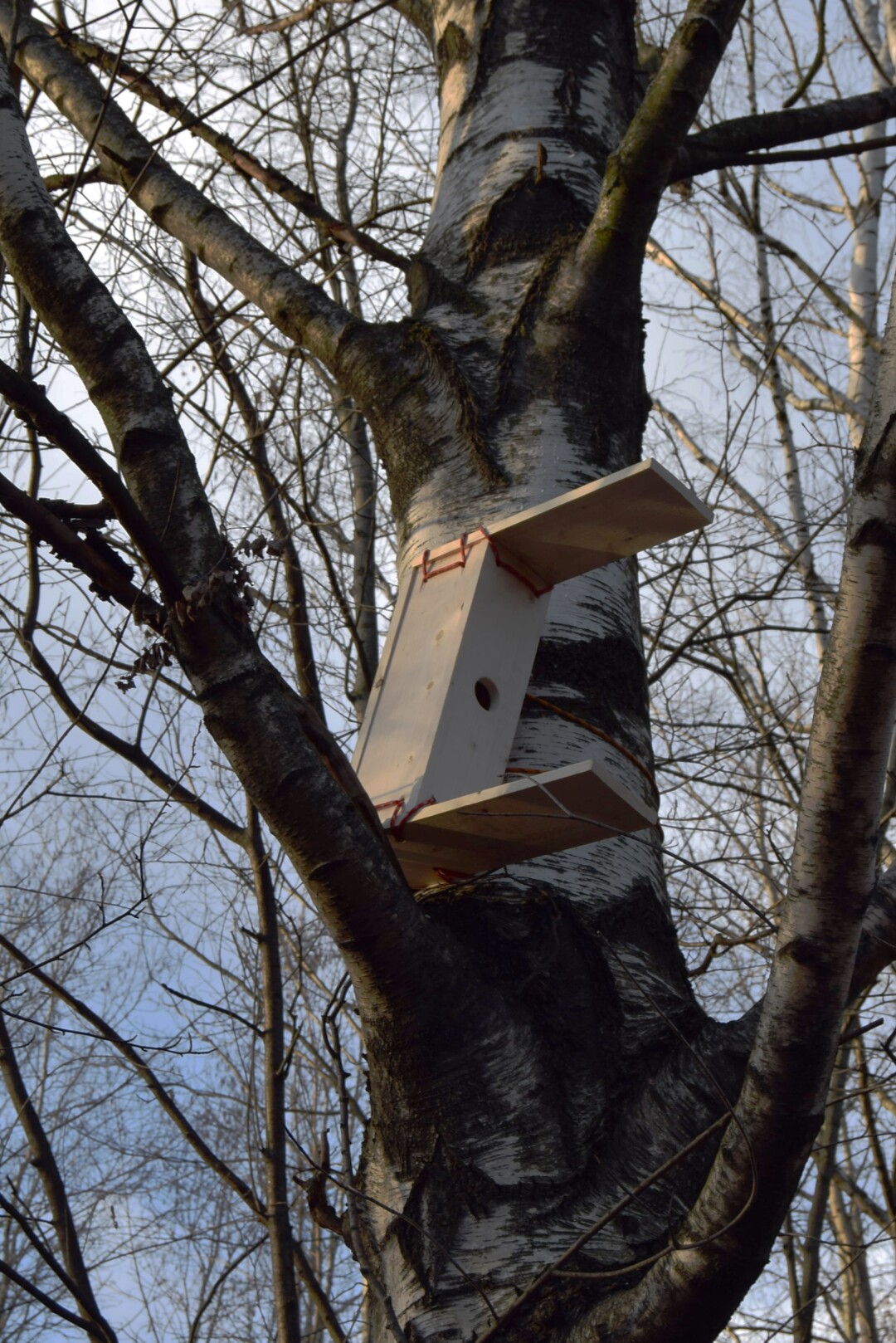 «Скворечник без гвоздей и, вероятно, без птиц»,