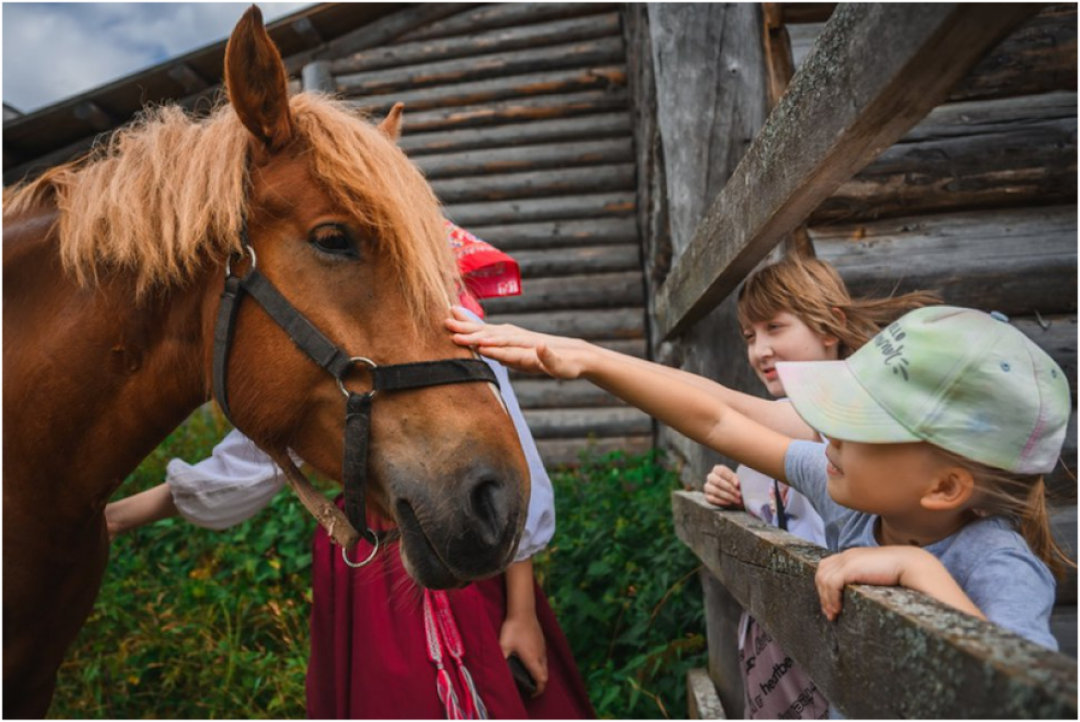 Фестиваль «На Хохловских холмах»