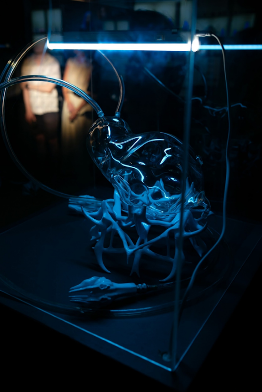 Выставка «Art&Science: Открытые тела»