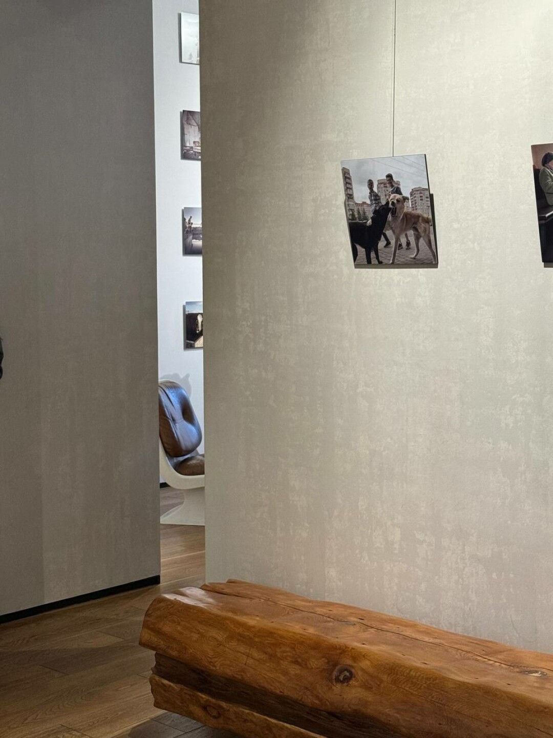 Выставка «Седьмое небо»