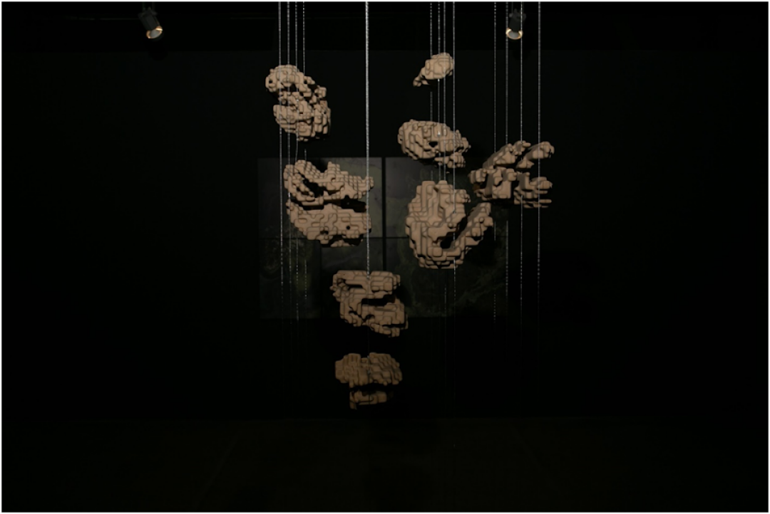 Выставка «Art&Science: Открытые тела»