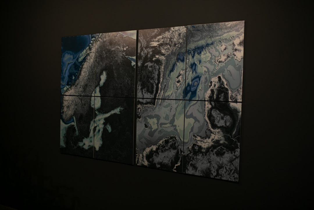 Выставка «Art&Science: Открытые тела»