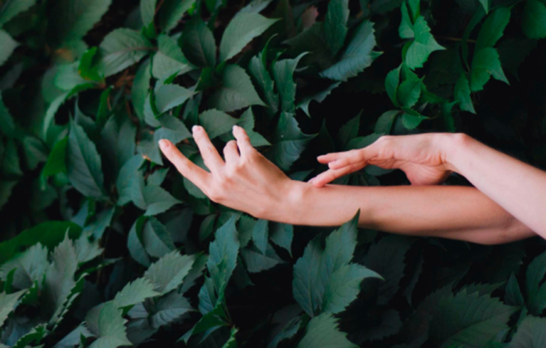 Вечер современной хореографии «Молодость. Страсть»