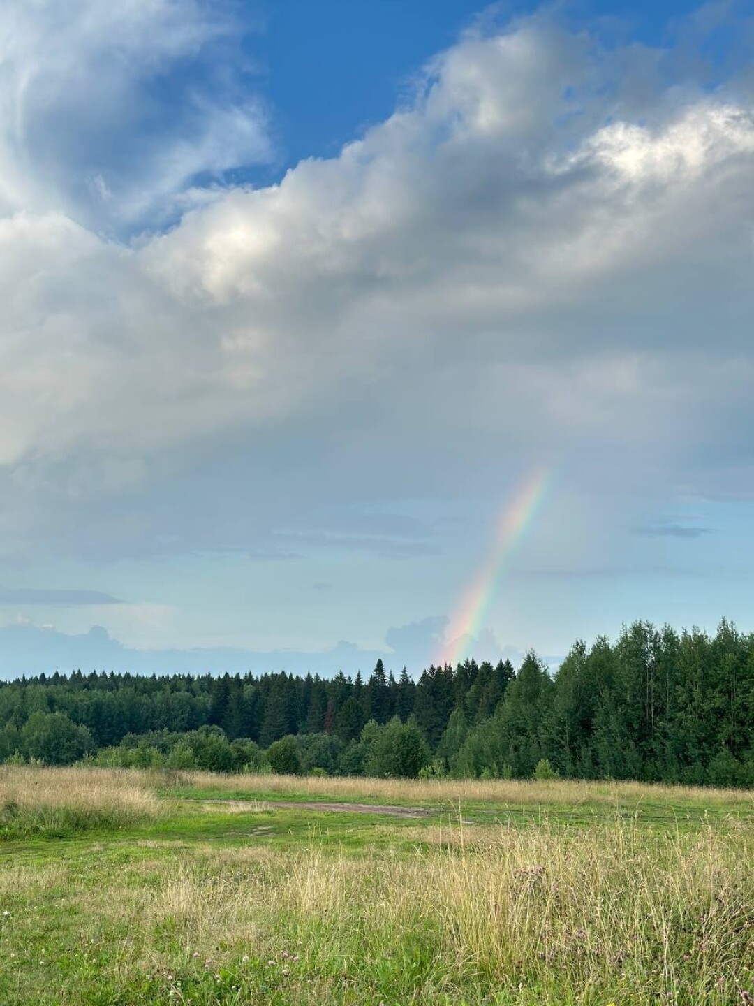 Лыжная база «Динамо»