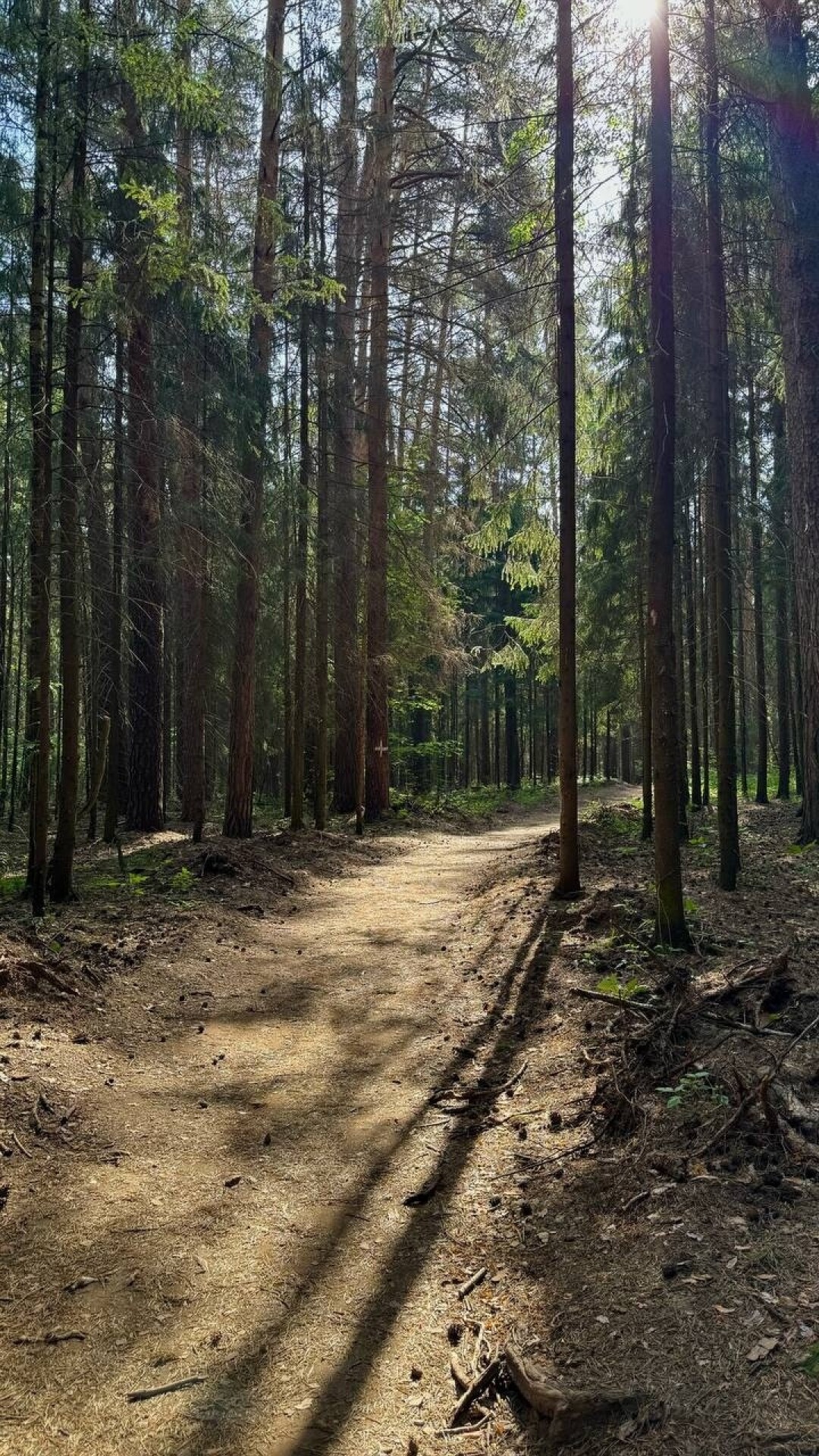 Балатовский парк