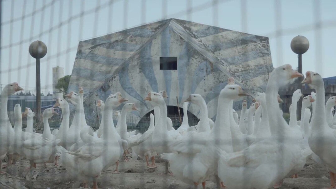 "Увядания и фантазии парков"