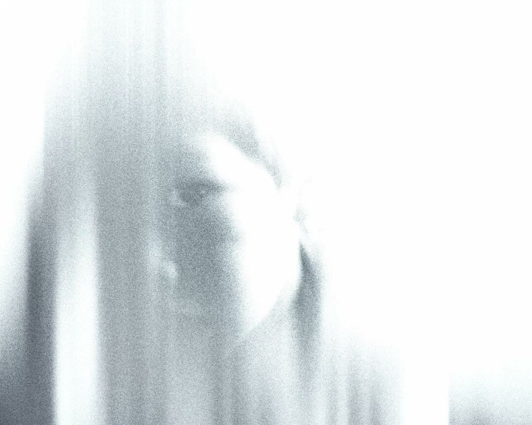 Антонио Ла Камера, "Забытая память деревьев"