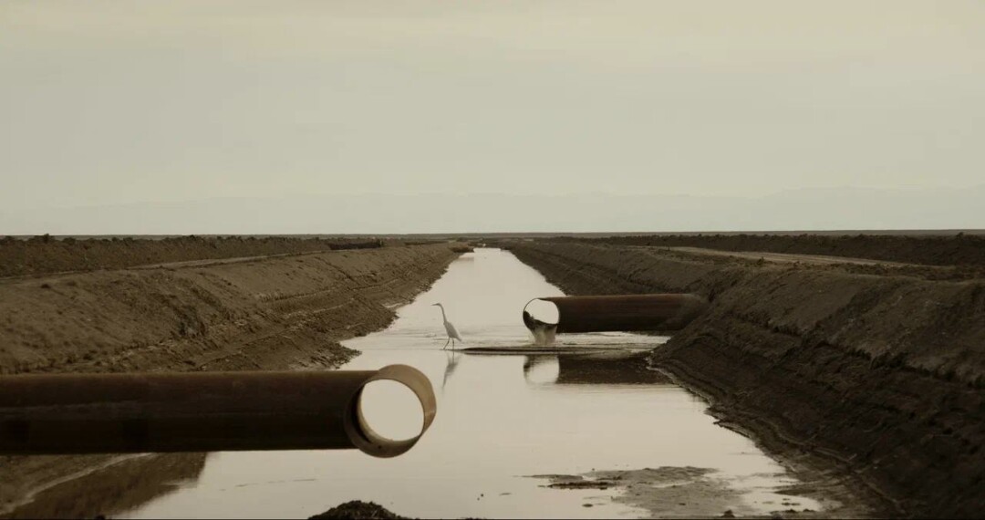 «Лакуна», Карло Насиссе, Ширли Юмень Хэ