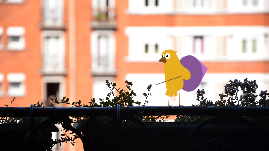 "Птичка Кики", Nicolas Bianco-Levrin и Julie Rembauville