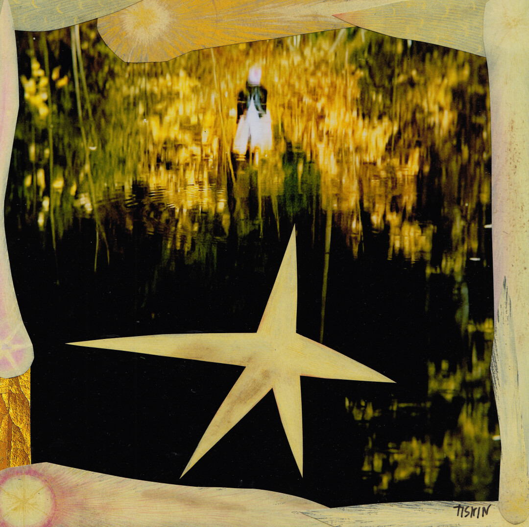 Проект «Небывальщина. Чудо. Оживление русалки Ахматовой»