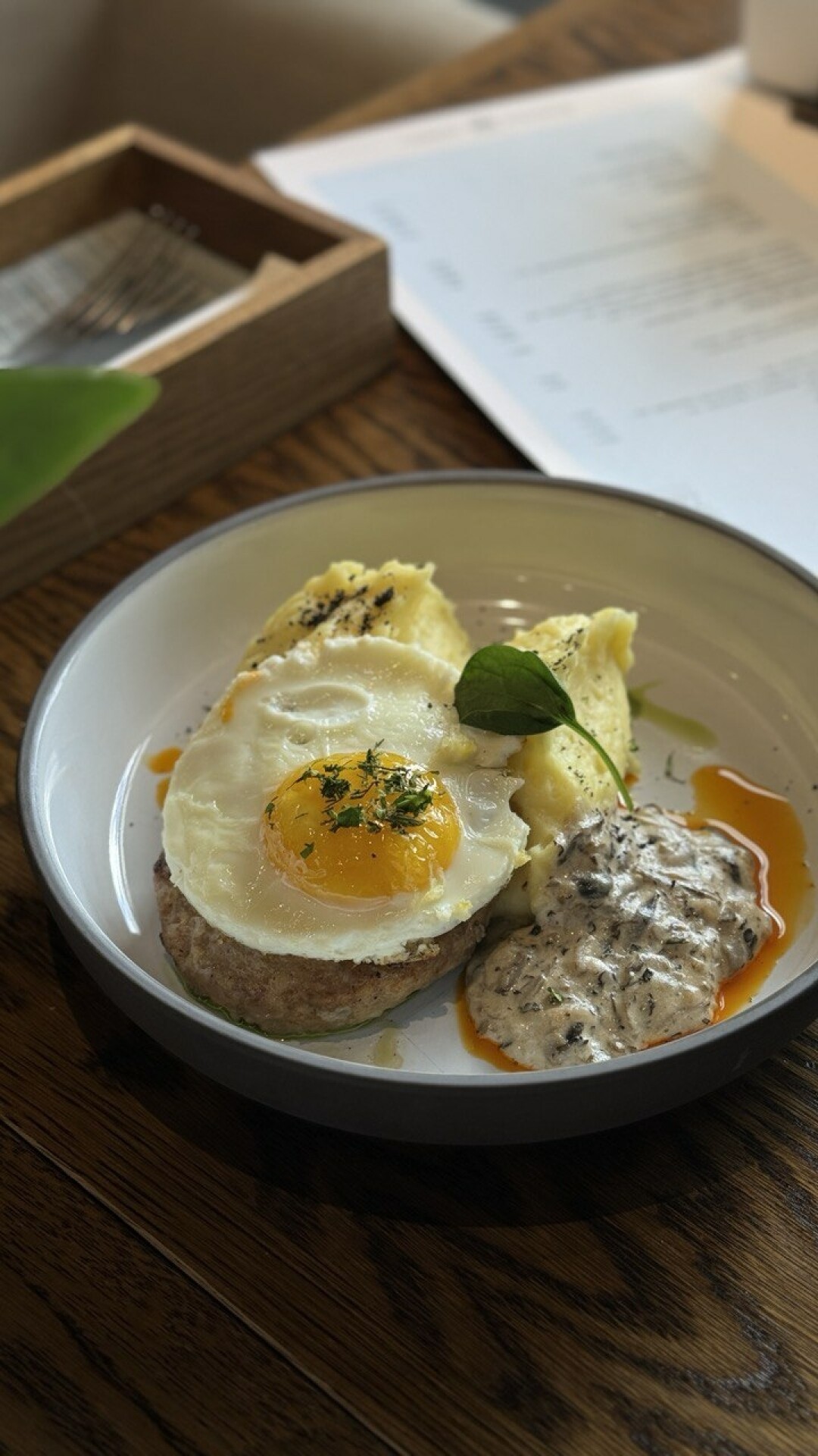 «Чайка ZaZa» и Portofino