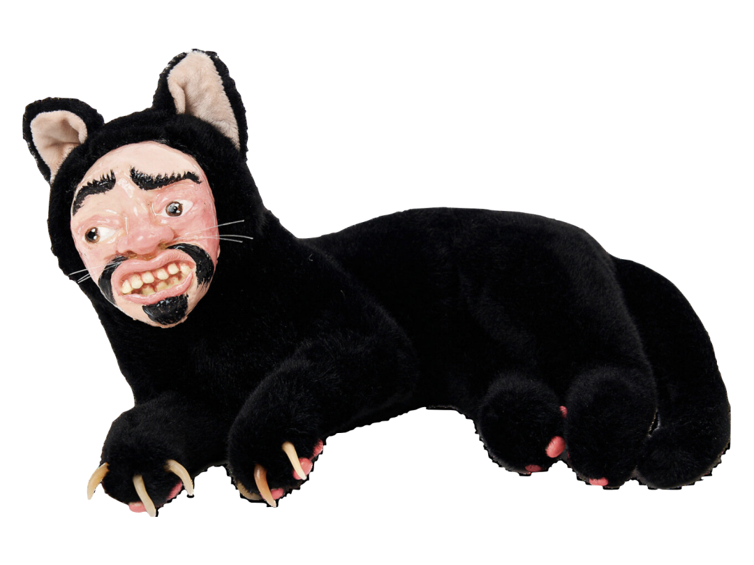 Кот Владислав, IRNBY Store