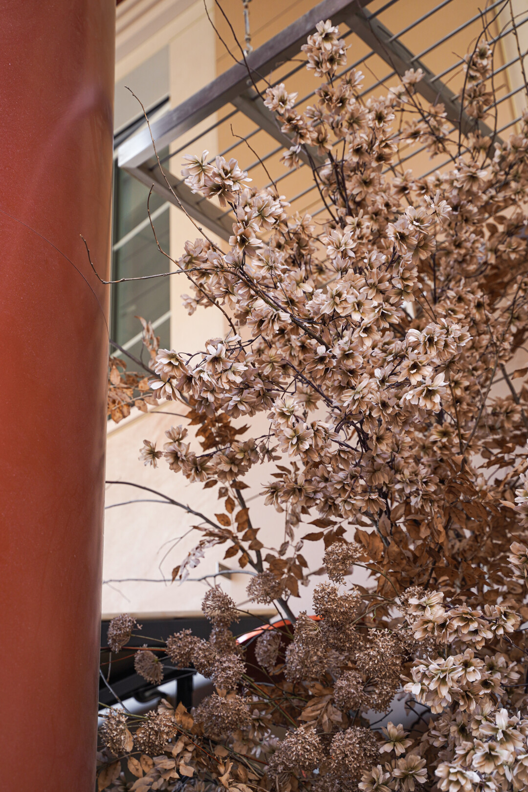 «Гедонист»