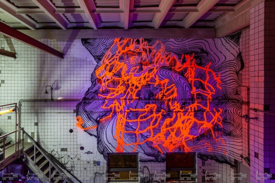 Фото: Анна Михеева