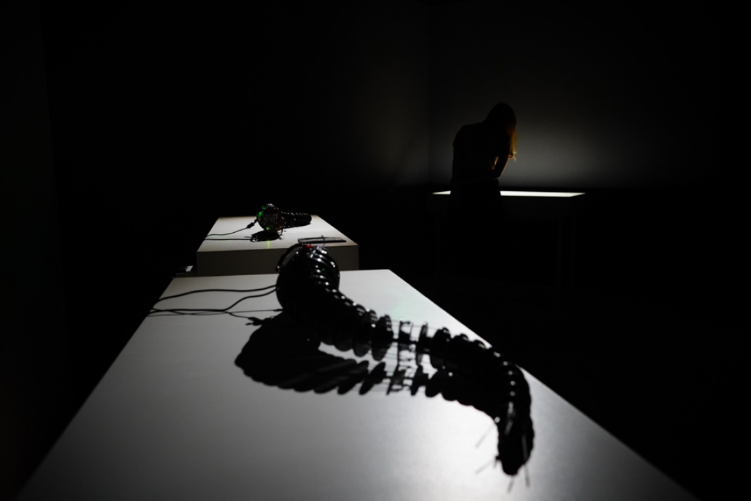 Выставка «Art & Science: Открытые тела»