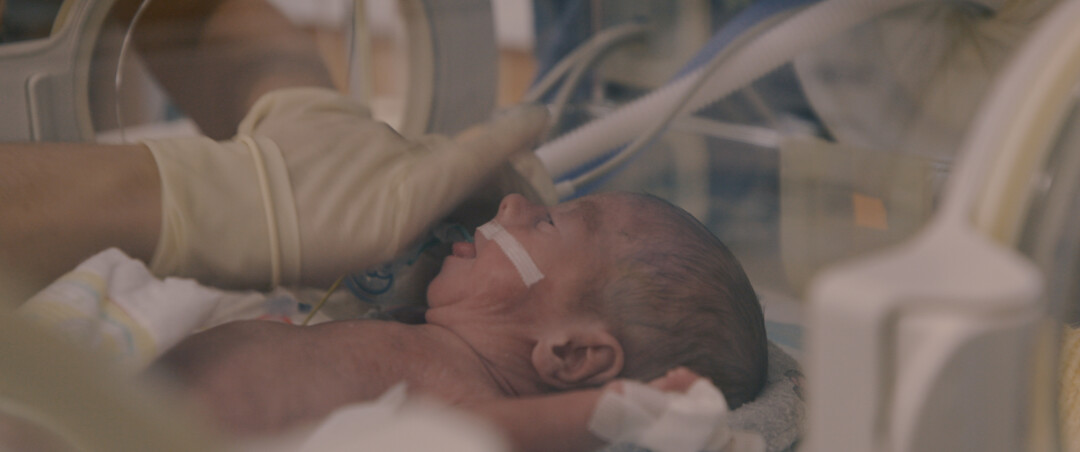 «Недоноски»