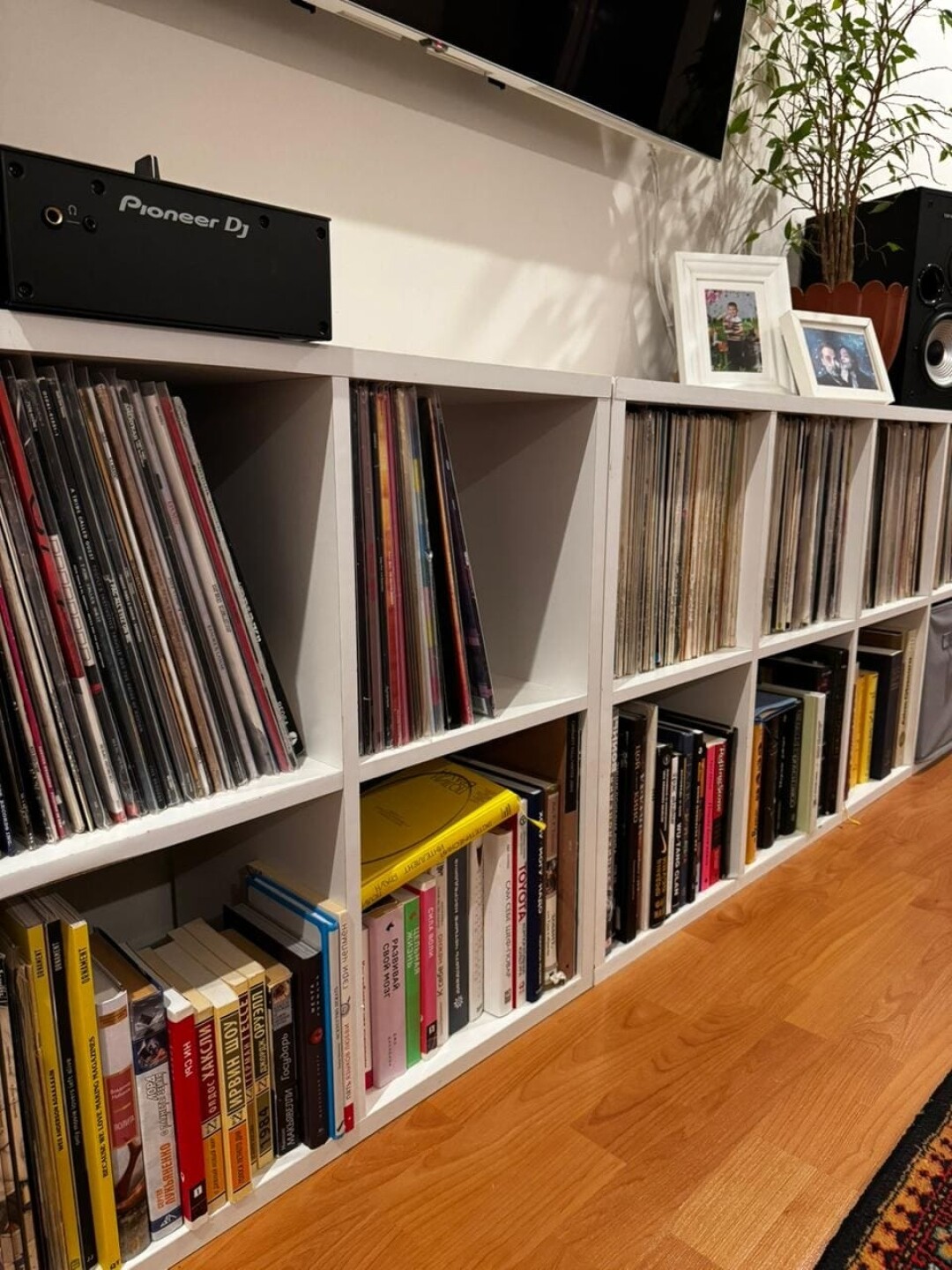 Все пластинки рассортированы по жанрам и настроению