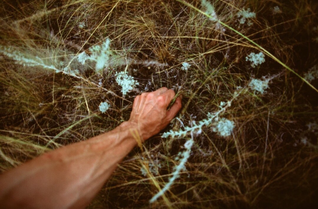 Дима Филиппов