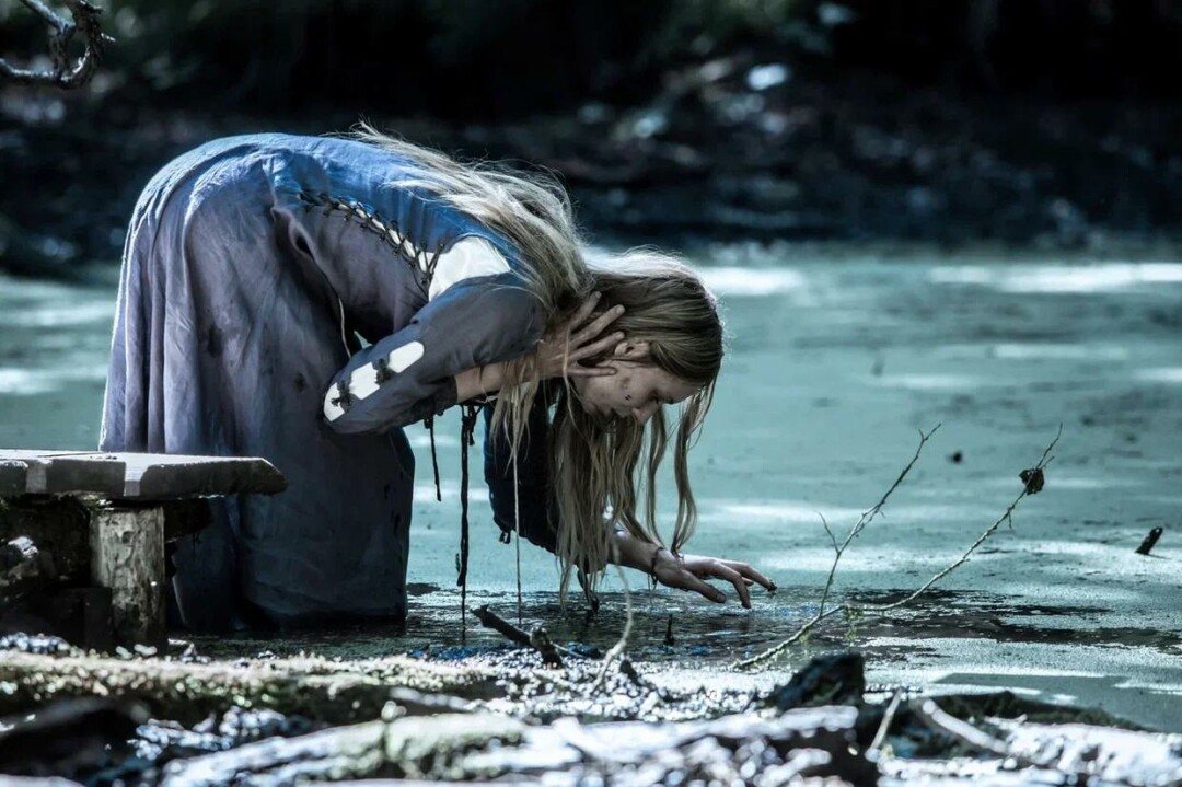 "Черный паук"