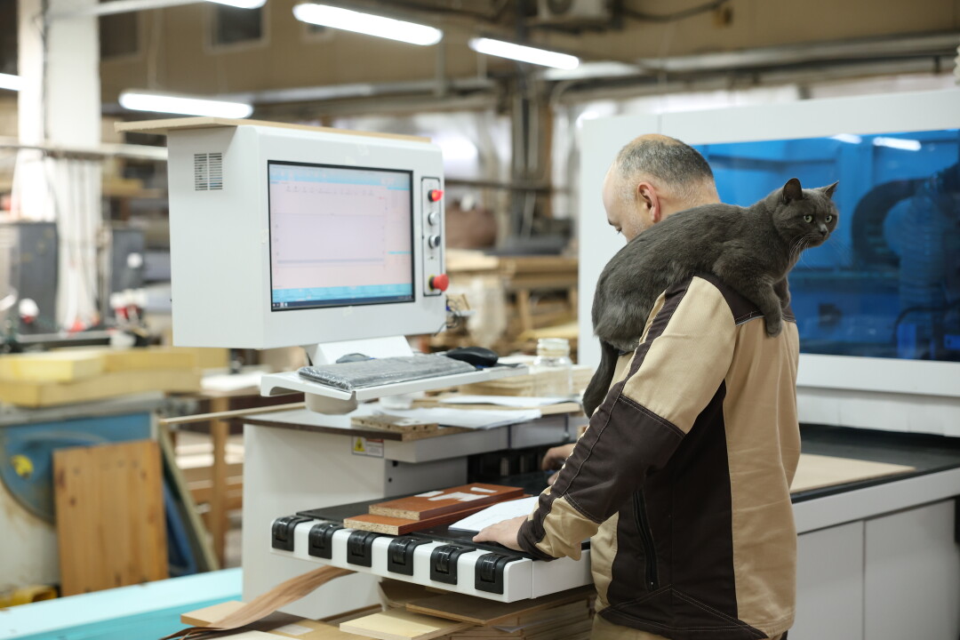 В «Башмебели» есть несколько хвостатых «коллег» – это коты и кошки, которые лишились хозяев, но обрели новый дом на фабрике.