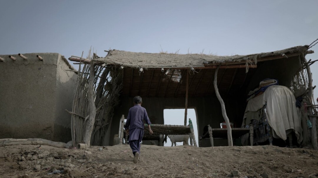 "Затишье после бури"