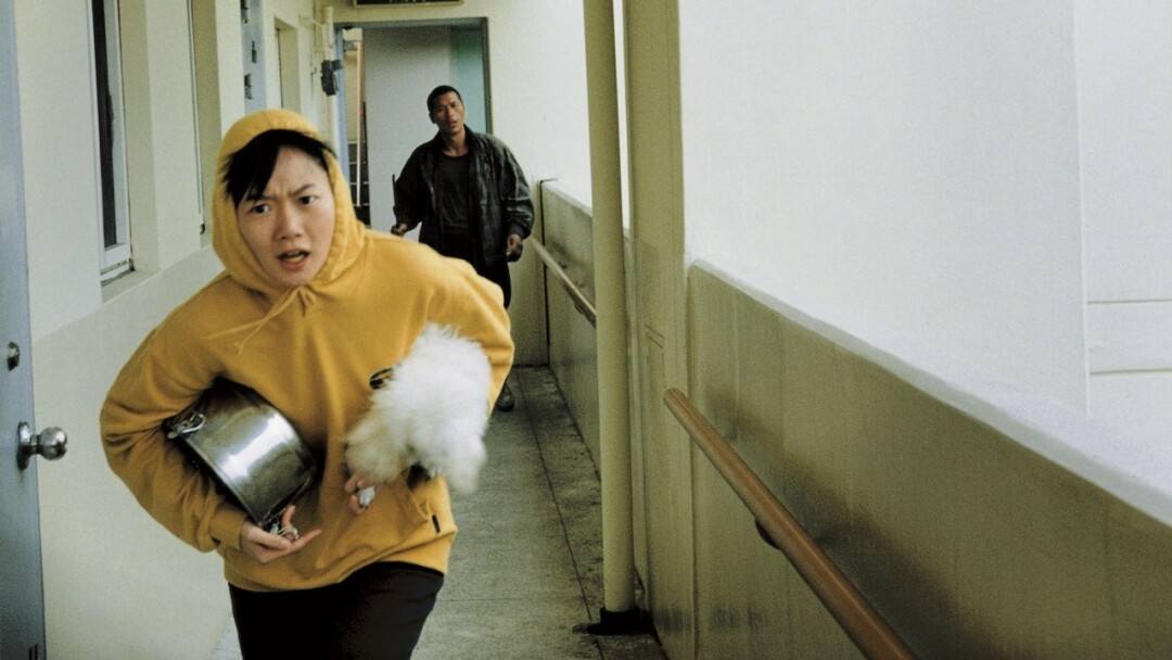 "Лающие собаки никогда не кусают", 2000 год