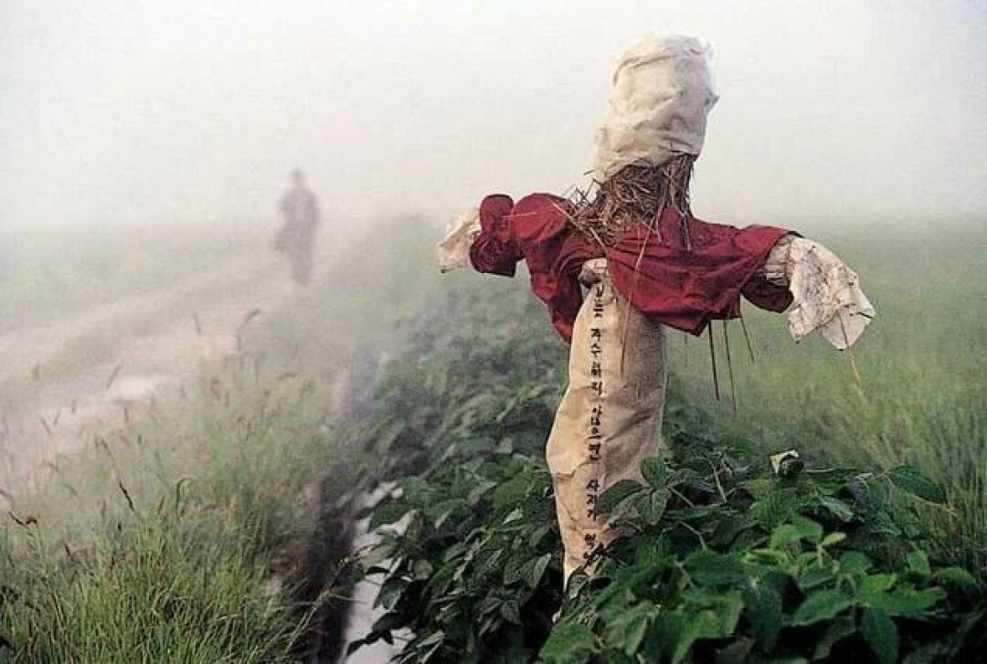 "Воспоминания об убийстве", 2003 год