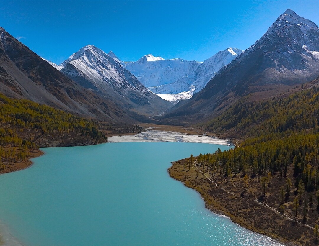 Фото: vk.com/altairepublic04