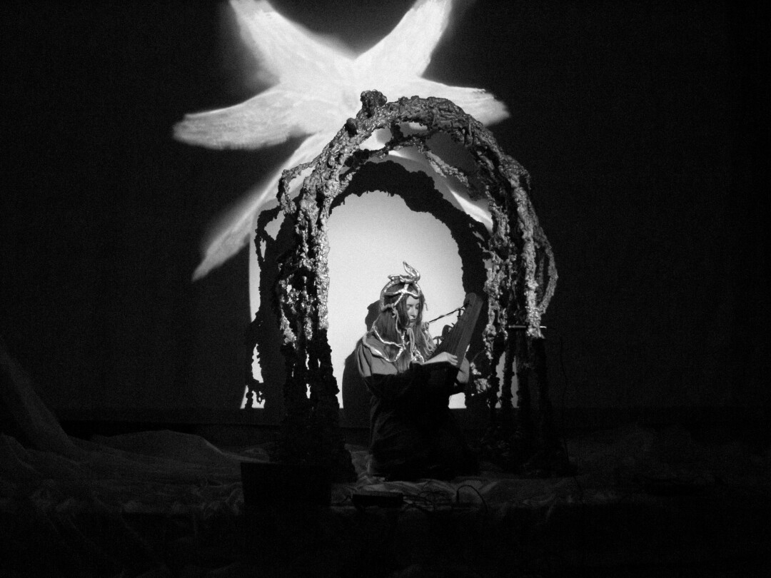 Перформанс Саши Соко