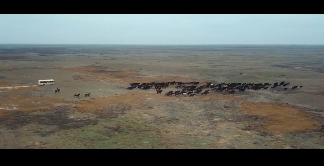 Кадр из фильма «Против ветра»