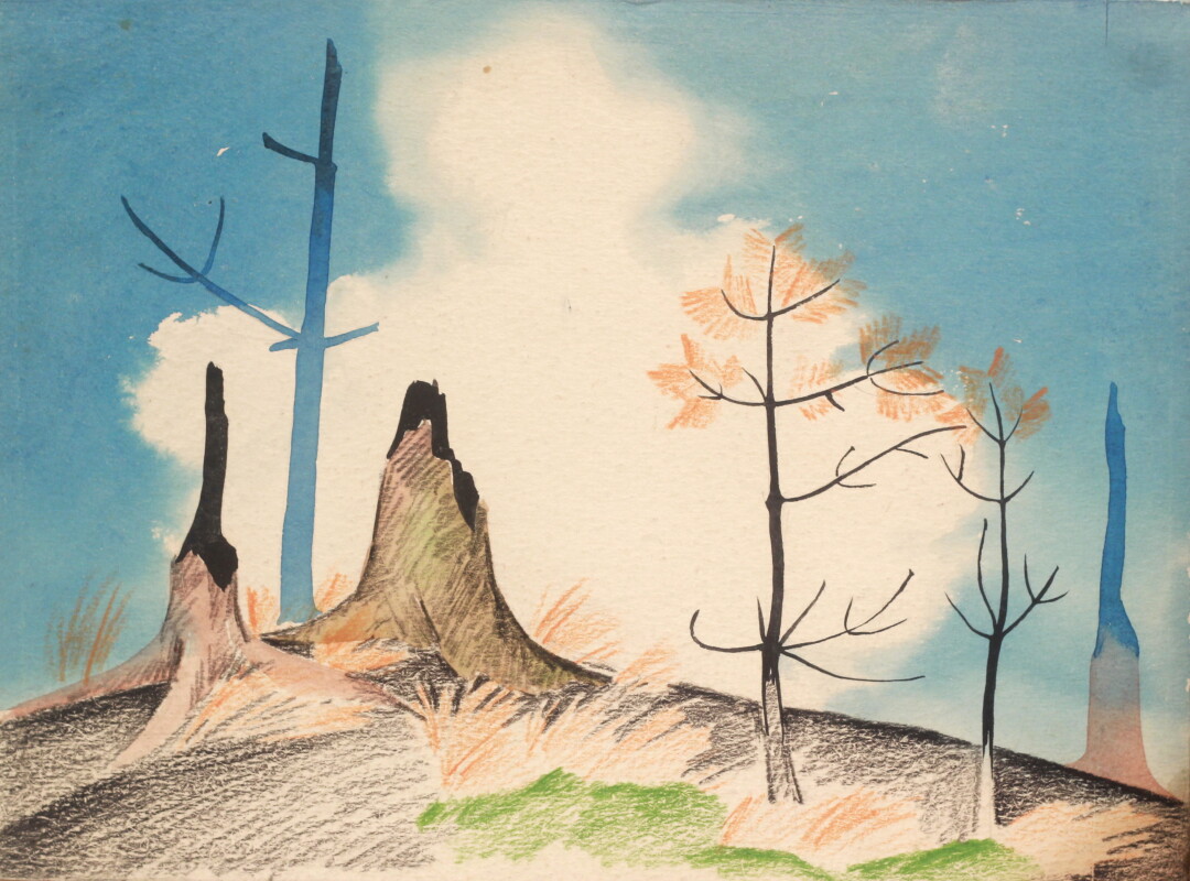 "Пожар в лесу"