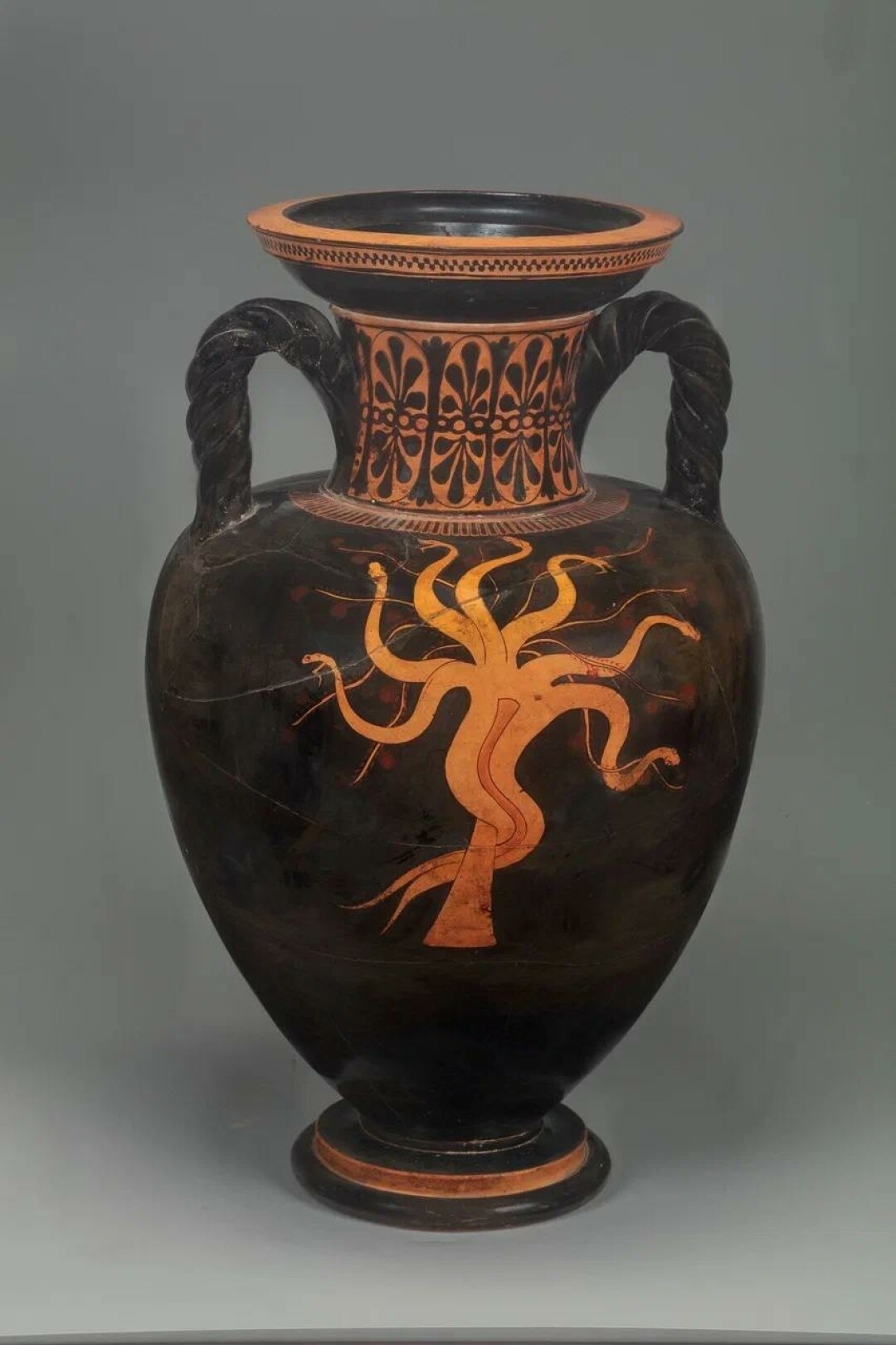 Аттическая краснофигурная амфора: Дракон. VI–V века до н.э.