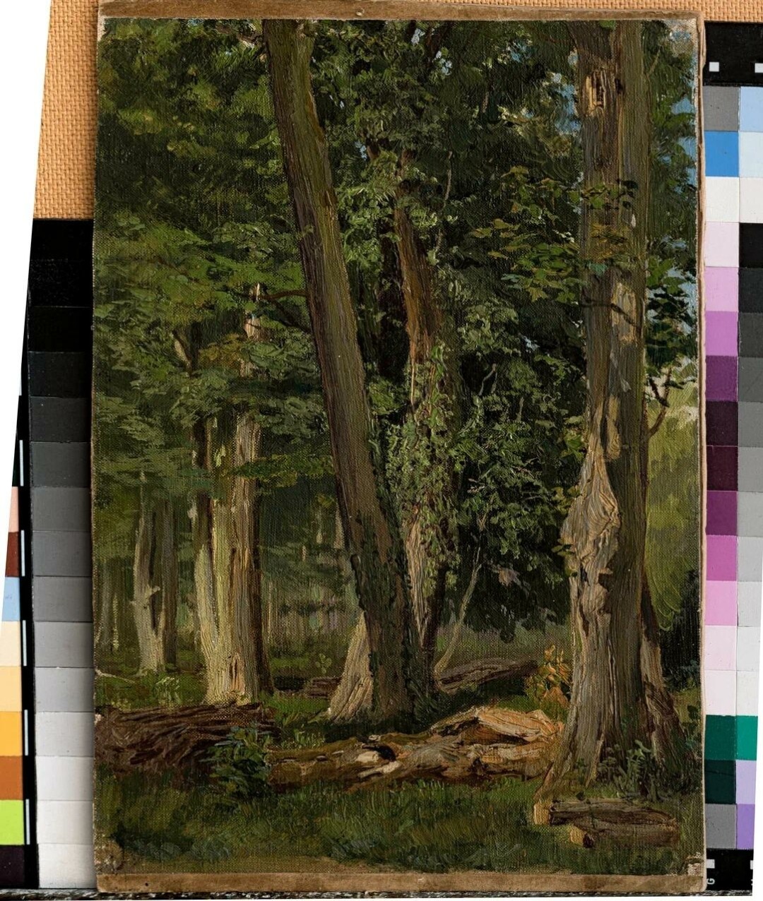 "В Медонском парке близ Парижа", 1876 год