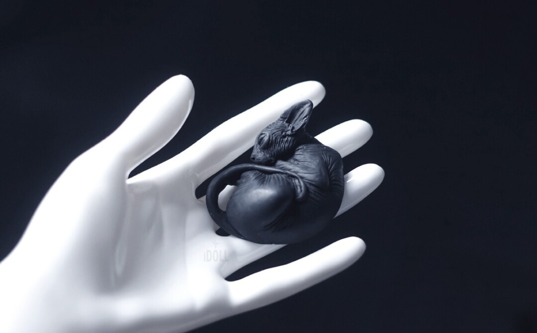 Idoll, 2 700 руб.