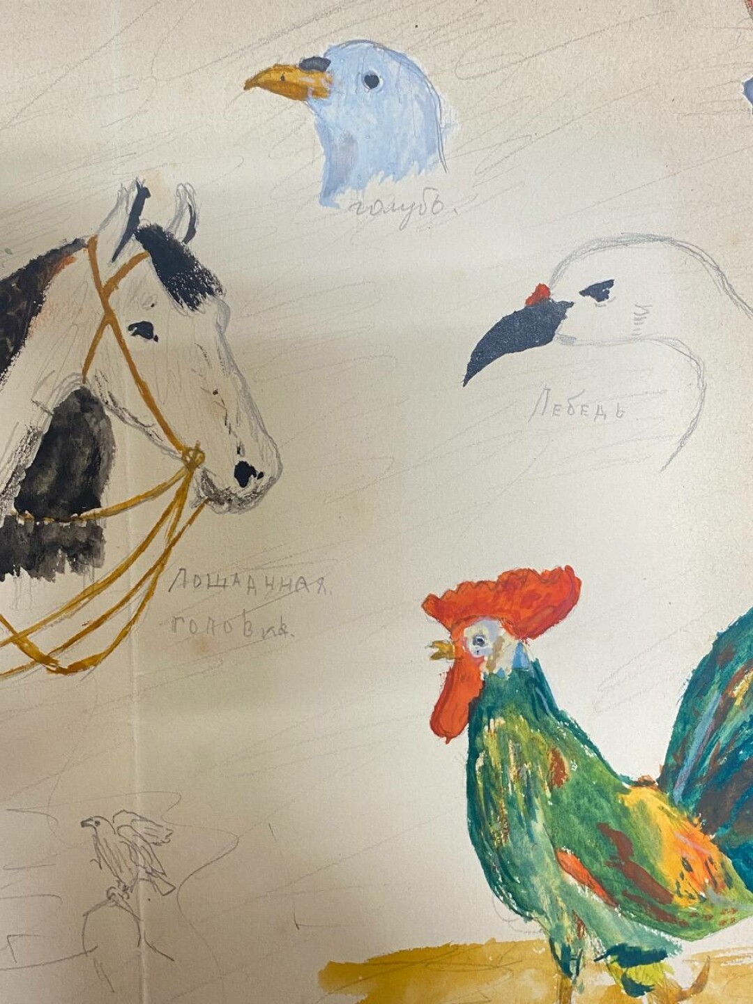 Детский рисунок Евгения Мравинского