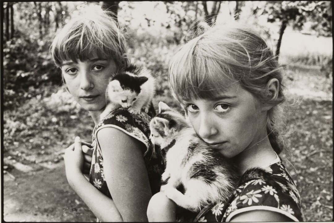 «Девочки с котятами», Юрий Луньков