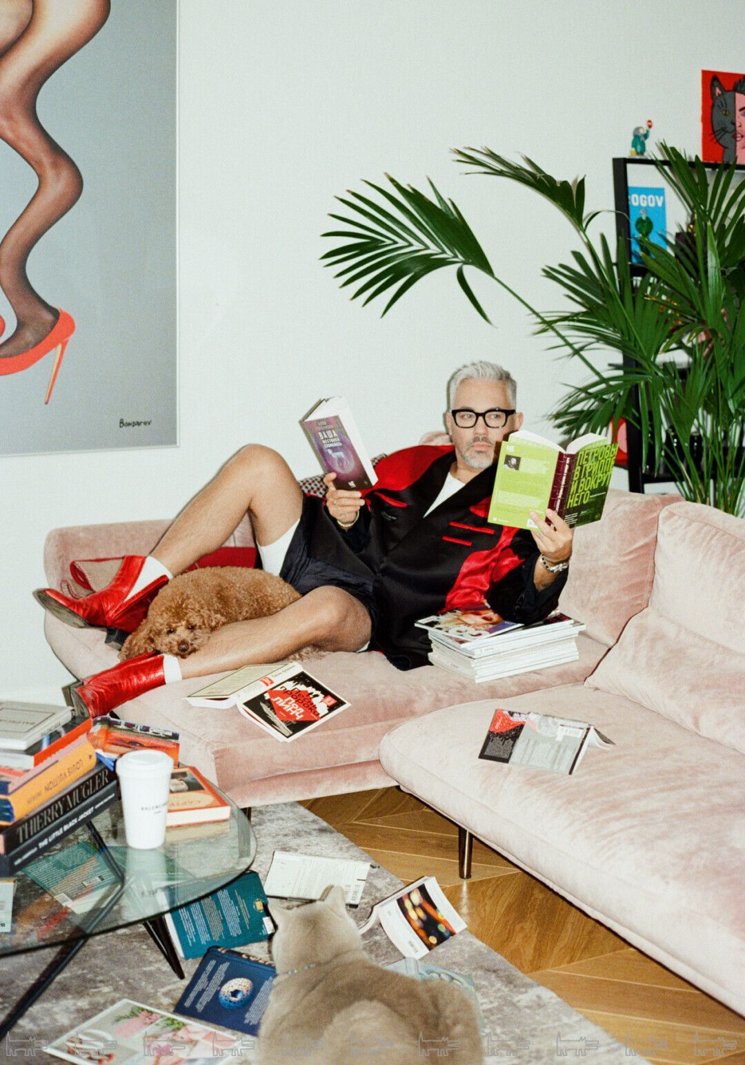 Александр Рогов и той-пудель Юрий обожают пыльно-розовый диван Calligaris. Британец Кот предпочитает ковер от «Ами ковры», на который приземлился