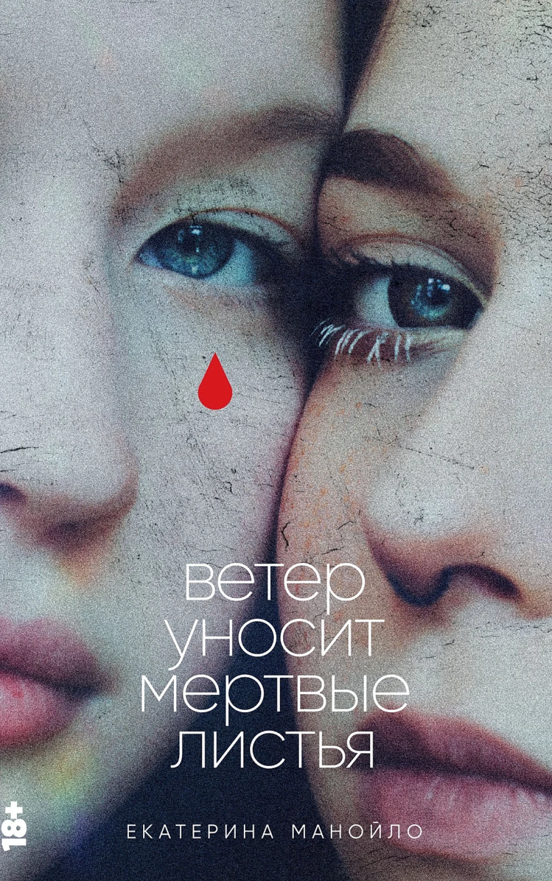 Обложка предыдущей книги Екатерины Манойло