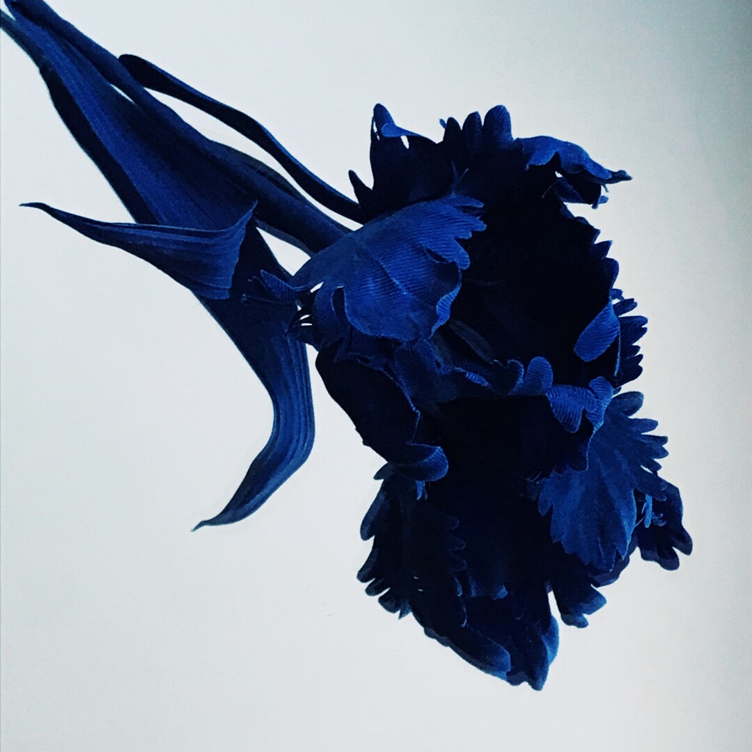 Брошь-тюльпан House of Leo