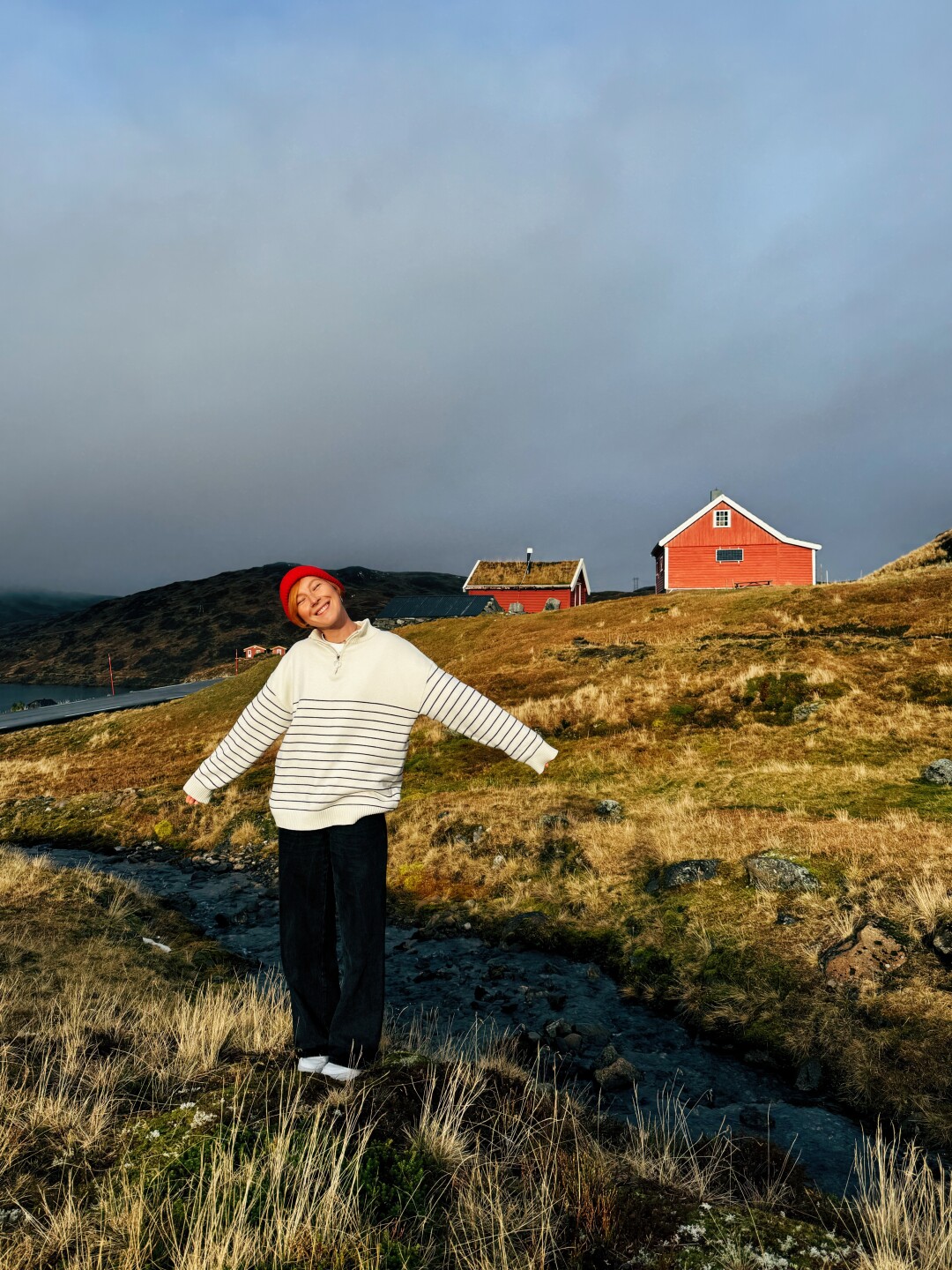 Вдоль дороги Vikafjell