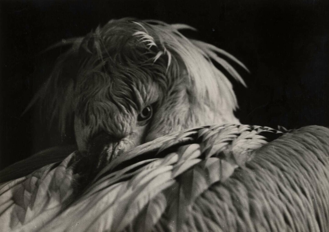 Геннадий Ушкало, "Раздумье", 1970-1980-е годы