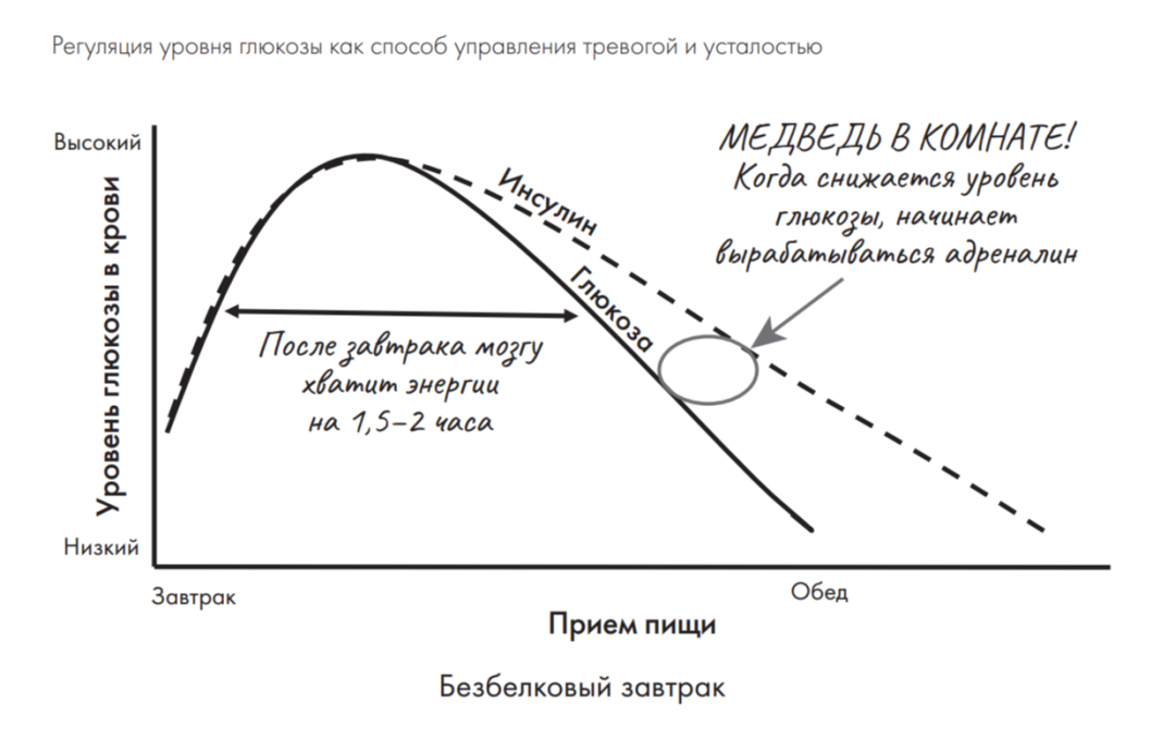 Наконец уровень глюкозы в крови падает настолько, что мозг Лизы в панике нажимает тревожную кнопку, чтобы запустить выработку адреналина. Скачок