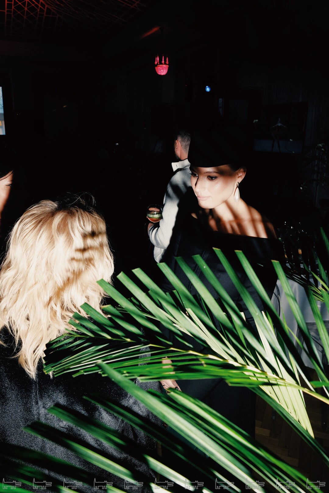 Светлана Соколова