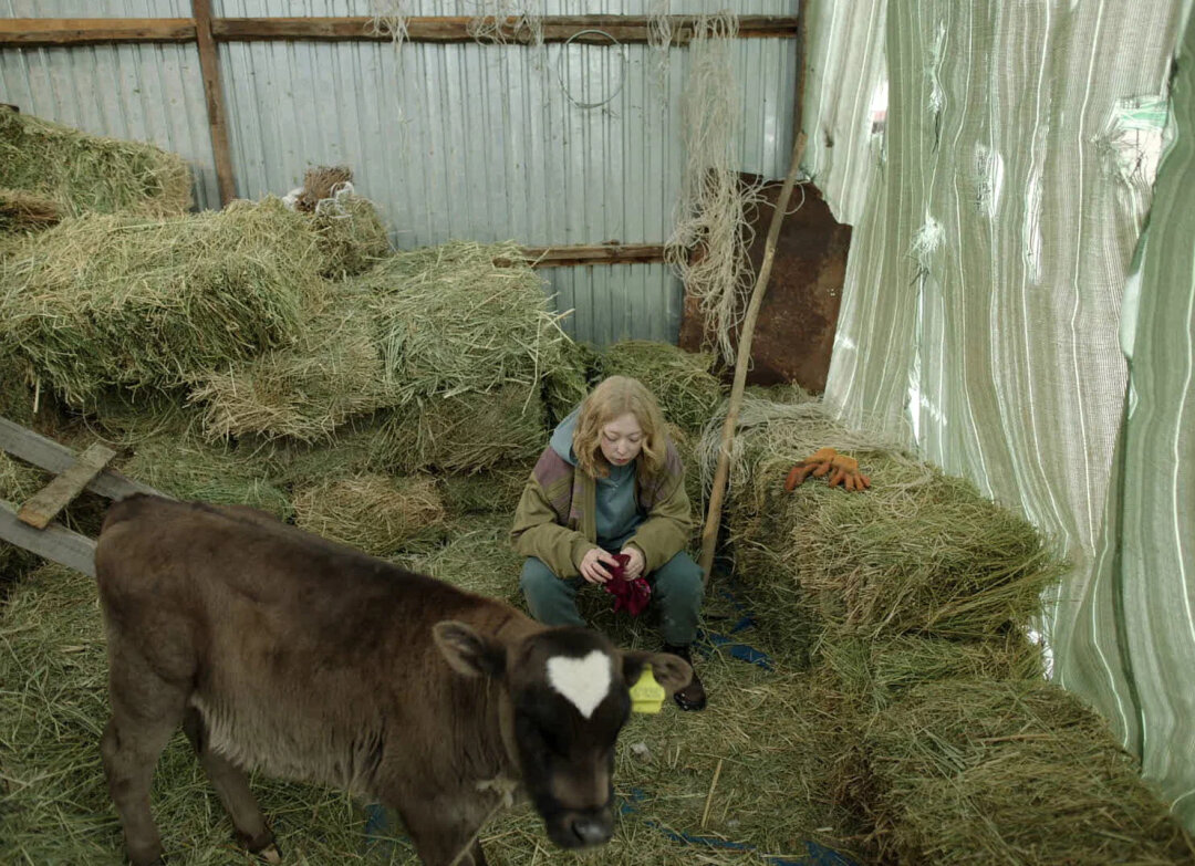 "Папа умер в субботу", 2024