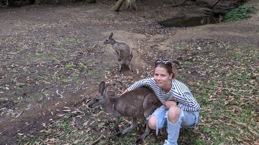 Зоопарк в Брисбане