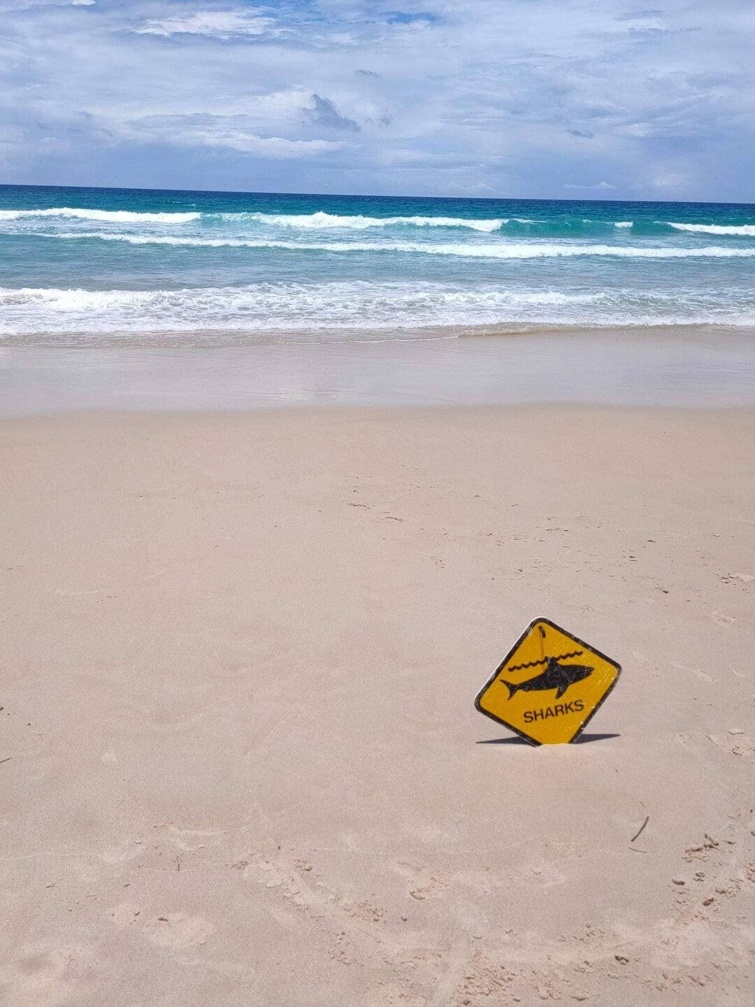 Пляж в Surfers Paradise