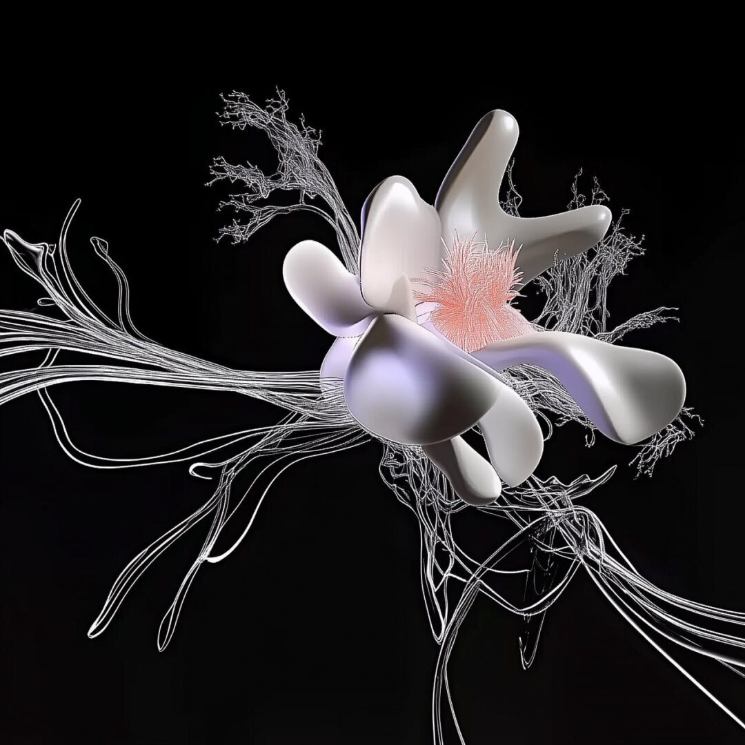 Таня Янни, Neutral Blossom