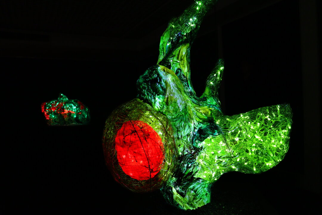 Василисса Саврасова, "Метасистема"